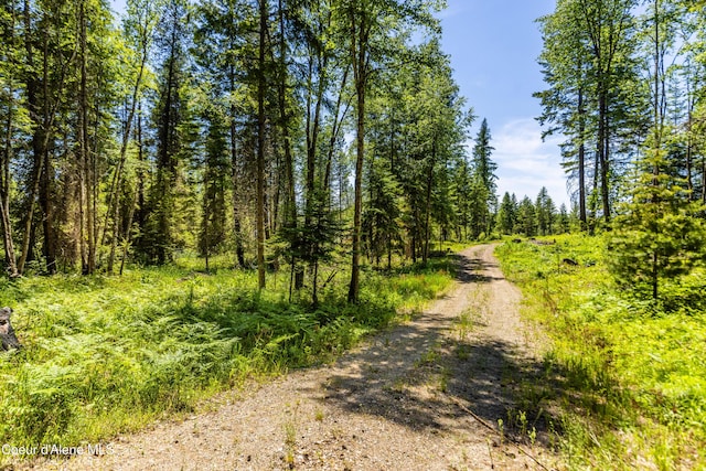 1140 Salee Creek Rd, Bayview, ID 83803