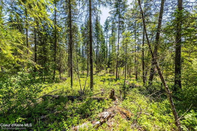 1140 Salee Creek Rd, Bayview, ID 83803