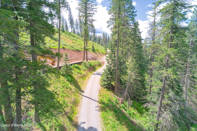 LOT12304 S Blue Creek Rd, Coeur Dalene, ID 83814 - photo 6
