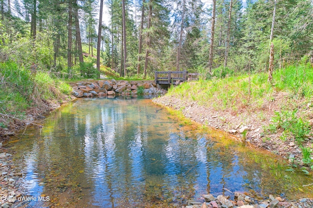LOT12304 S Blue Creek Rd, Coeur Dalene, ID 83814 - photo 19