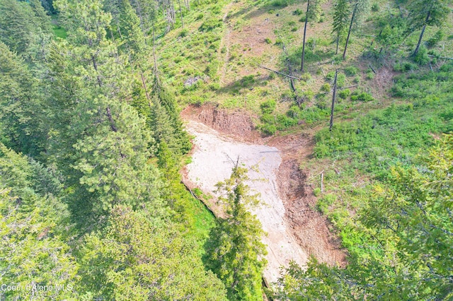 LOT12304 S Blue Creek Rd, Coeur Dalene, ID 83814 - photo 7