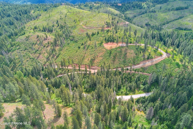LOT12304 S Blue Creek Rd, Coeur Dalene, ID 83814 - photo 11
