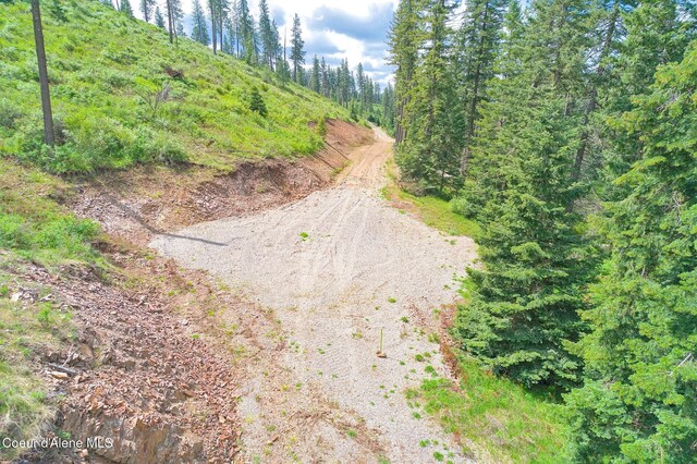 LOT12304 S Blue Creek Rd, Coeur Dalene, ID 83814 - photo 12
