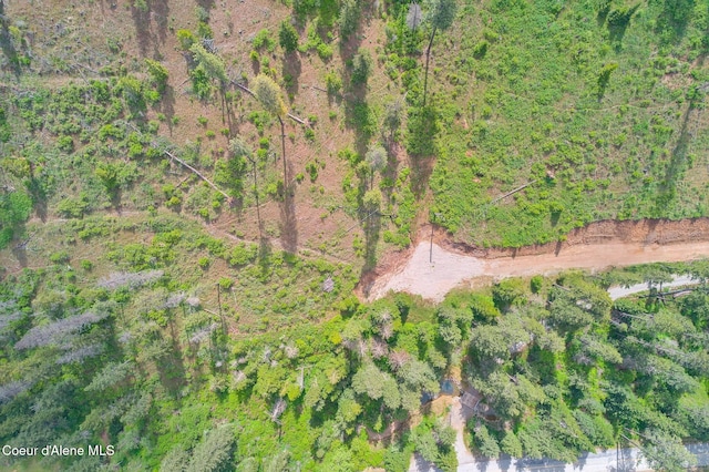 LOT12304 S Blue Creek Rd, Coeur Dalene, ID 83814 - photo 3