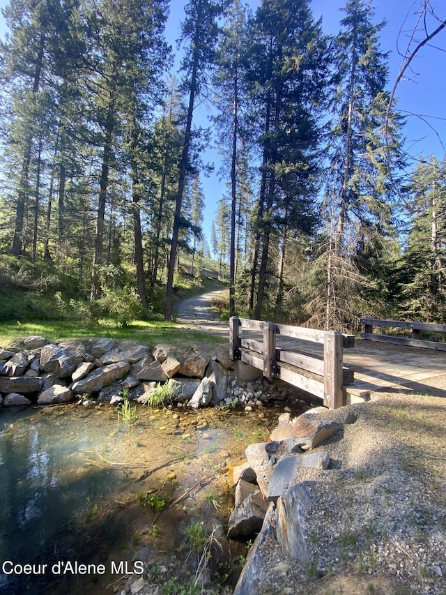 LOT12304 S Blue Creek Rd, Coeur Dalene, ID 83814 - photo 1