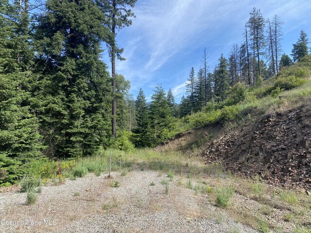 LOT12304 S Blue Creek Rd, Coeur Dalene, ID 83814 - photo 15