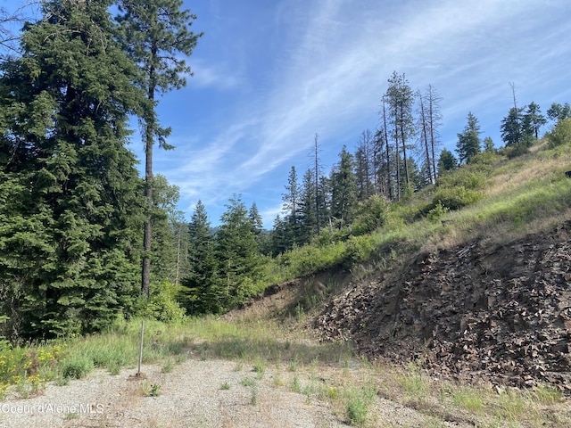 LOT12304 S Blue Creek Rd, Coeur Dalene, ID 83814 - photo 18