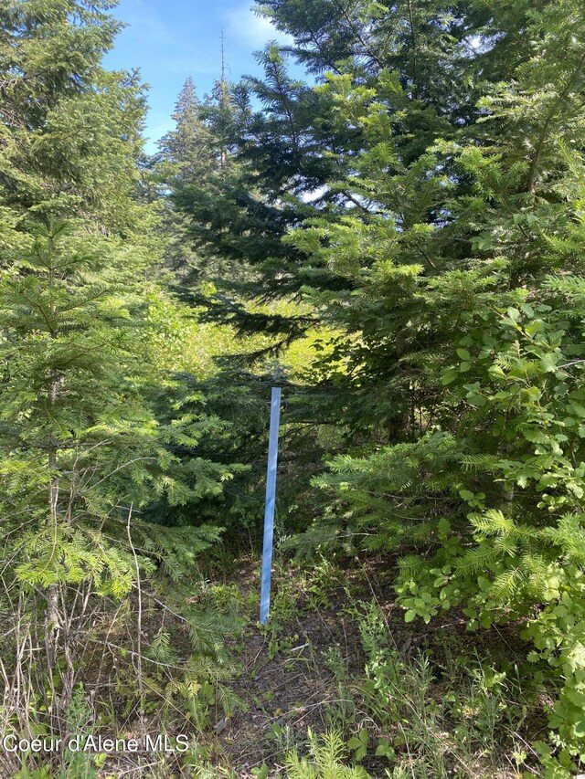 LOT12304 S Blue Creek Rd, Coeur Dalene, ID 83814 - photo 16