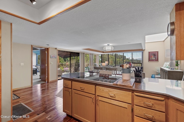 3574 E Tobler Rd # C16, Hayden, ID 83835 - kitchen with black electric cooktop, wood finished floors, a textured ceiling, a raised ceiling, and dark countertops