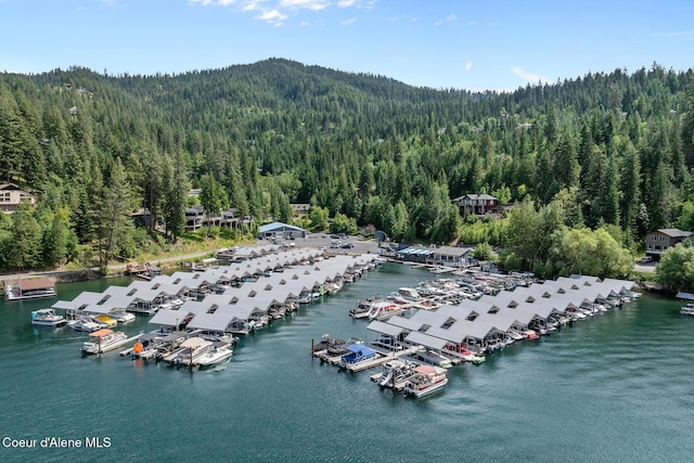 3574 E Tobler Rd # C16, Hayden, ID 83835 - bird's eye view of a forest and numerous boat docks