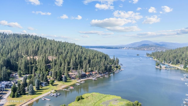 4171 S Westway Dr, Coeur Dalene, ID 83814 - photo 51
