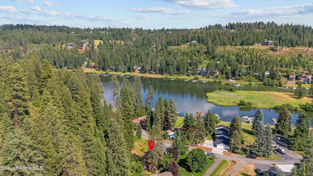 4171 S Westway Dr, Coeur Dalene, ID 83814 - photo 48