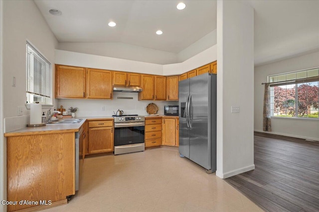1748 W Durham Dr, Coeur Dalene, ID 83815 - kitchen featuring stainless steel appliances, a sink, under cabinet range hood, baseboards, and lofted ceiling