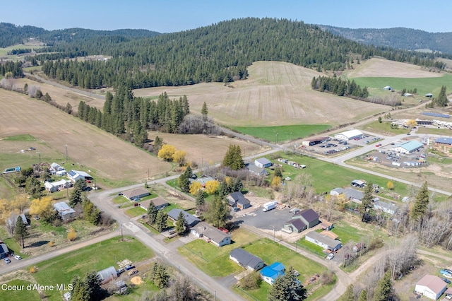 1364 C St, Plummer, ID 83851 - aerial overview of property's location featuring a heavily wooded area and rural landscape
