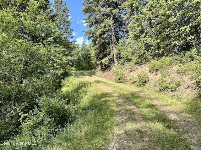 392 Dominic Ln, Kingston, ID 83839 - photo 3