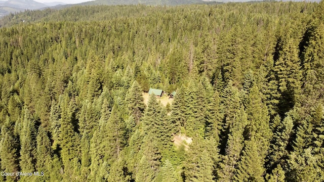 392 Dominic Ln, Kingston, ID 83839 - photo 4