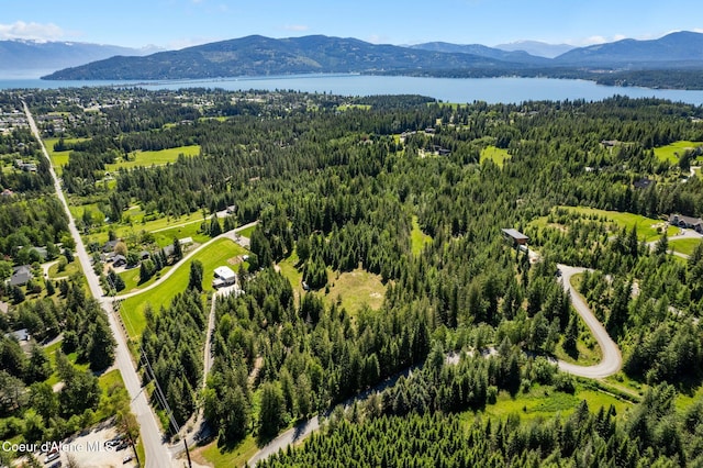 10851 W Pine St, Sandpoint, ID 83864 - bird's eye view of a water and mountain view and a forest