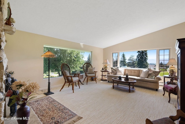 10851 W Pine St, Sandpoint, ID 83864 - carpeted living room featuring plenty of natural light and lofted ceiling