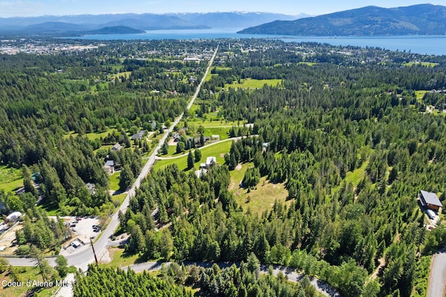 10851 W Pine St, Sandpoint, ID 83864 - view of property location featuring a heavily wooded area and a water and mountain view