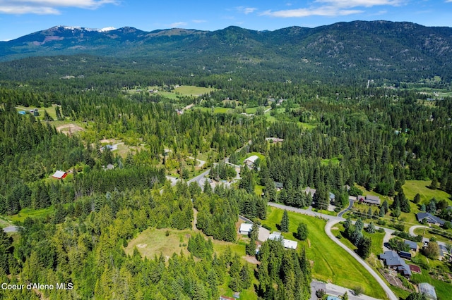 10851 W Pine St, Sandpoint, ID 83864 - aerial view of property and surrounding area featuring a heavily wooded area and mountains