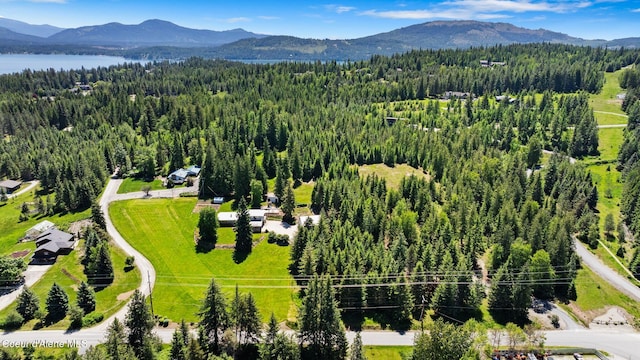10851 W Pine St, Sandpoint, ID 83864 - drone / aerial view of a mountainous background and a forest