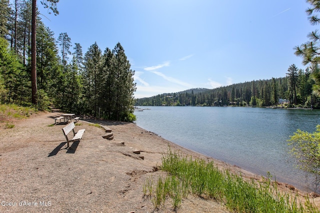 221 S Ridgewood Dr, Post Falls, ID 83854 - water view with a forest