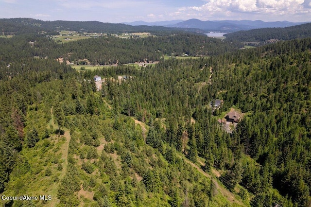 3572 S Moose Canyon Rd, Coeur Dalene, ID 83814