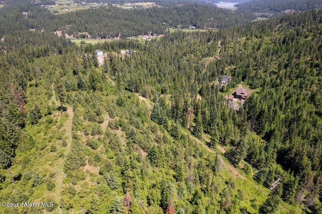 3572 S Moose Canyon Rd, Coeur Dalene, ID 83814