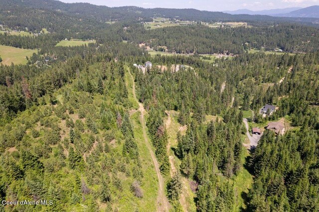 3572 S Moose Canyon Rd, Coeur Dalene, ID 83814