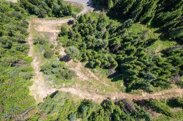 3572 S Moose Canyon Rd, Coeur Dalene, ID 83814