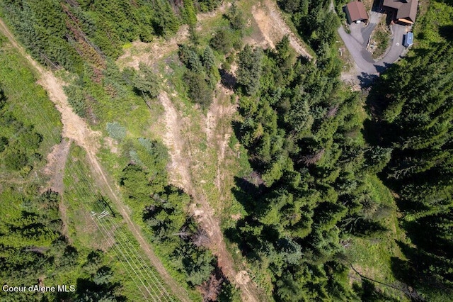 3572 S Moose Canyon Rd, Coeur Dalene, ID 83814