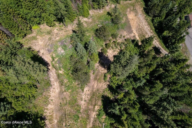 3572 S Moose Canyon Rd, Coeur Dalene, ID 83814