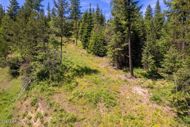 3572 S Moose Canyon Rd, Coeur Dalene, ID 83814