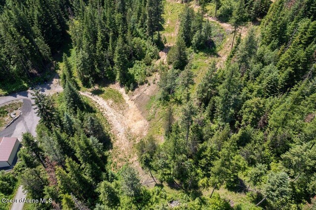 3572 S Moose Canyon Rd, Coeur Dalene, ID 83814