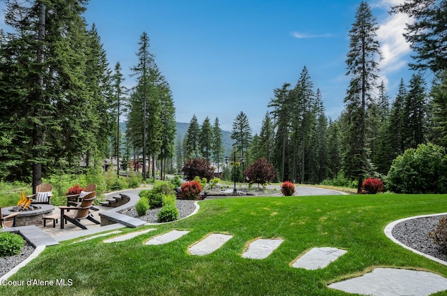 6767 S Renaissance Way, Coeur Dalene, ID 83814 - view of home's community with an outdoor fire pit and a lawn