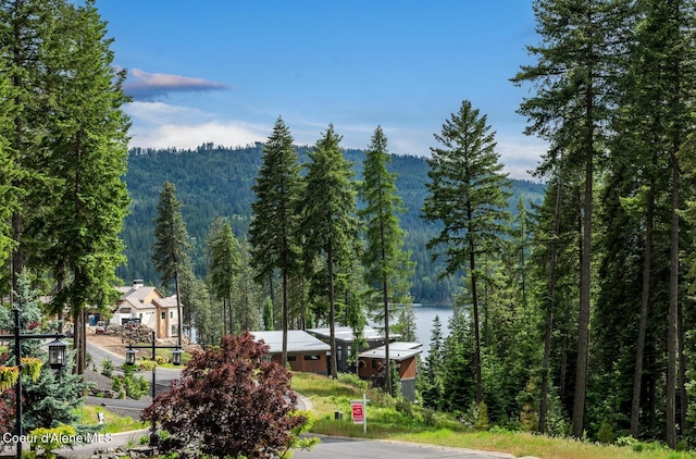 6767 S Renaissance Way, Coeur Dalene, ID 83814 - view of property's community featuring a wooded view and a water view