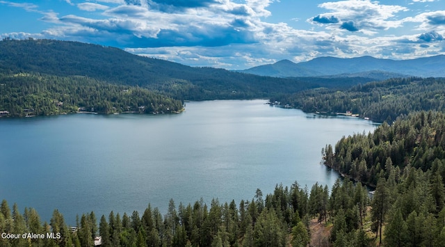 6767 S Renaissance Way, Coeur Dalene, ID 83814 - water view with a heavily wooded area and a mountain backdrop