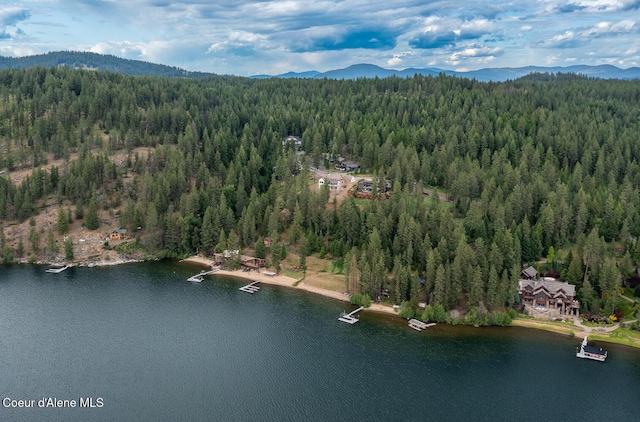 6767 S Renaissance Way, Coeur Dalene, ID 83814 - drone / aerial view of a water and mountain view