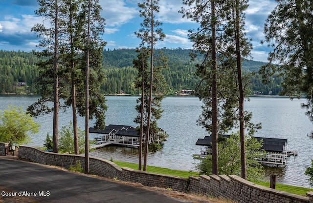 6767 S Renaissance Way, Coeur Dalene, ID 83814 - water view with a forest and a dock