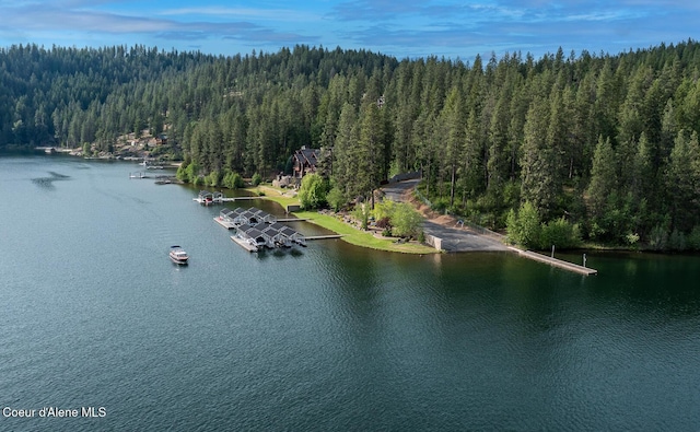 6767 S Renaissance Way, Coeur Dalene, ID 83814 - water view with a heavily wooded area