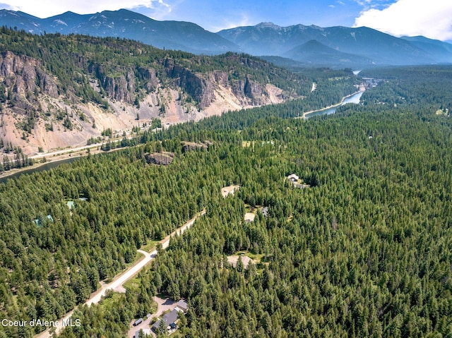 84 E Cabinet Wagon Rd, Clark Fork, ID 83811 - view of mountain background featuring a heavily wooded area