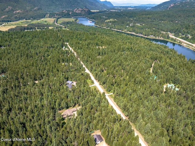 84 E Cabinet Wagon Rd, Clark Fork, ID 83811 - view of property location with a forest and a water and mountain view