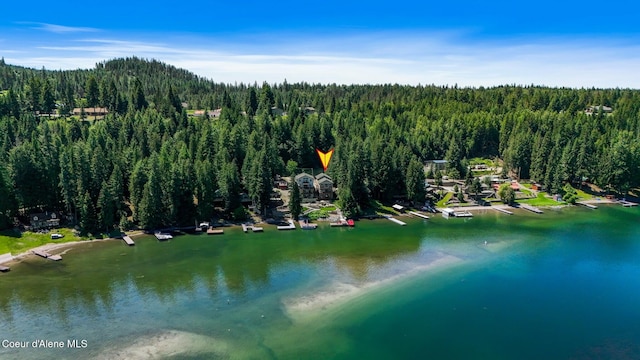 115 W Lakeview Blvd, Priest River, ID 83856 - aerial overview of property's location featuring a forest and a nearby body of water