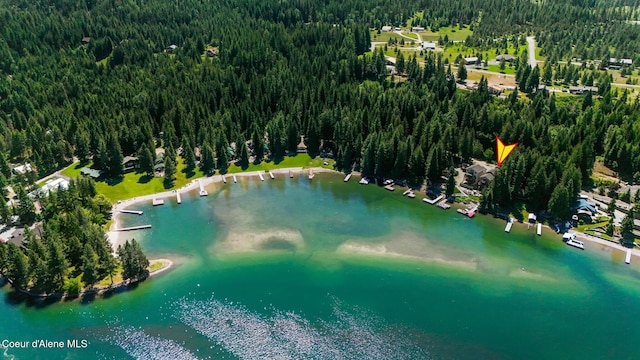 115 W Lakeview Blvd, Priest River, ID 83856 - aerial overview of property's location with a forest and a nearby body of water