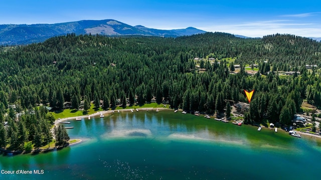 115 W Lakeview Blvd, Priest River, ID 83856 - bird's eye view of a forest and a water and mountain view