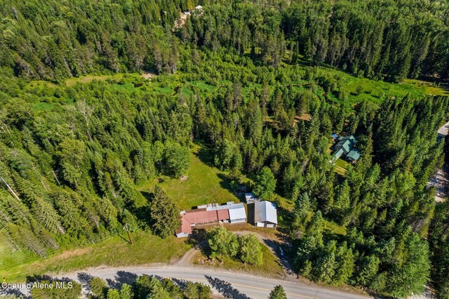 5961 Blacktail Rd, Careywood, ID 83809 - photo 37