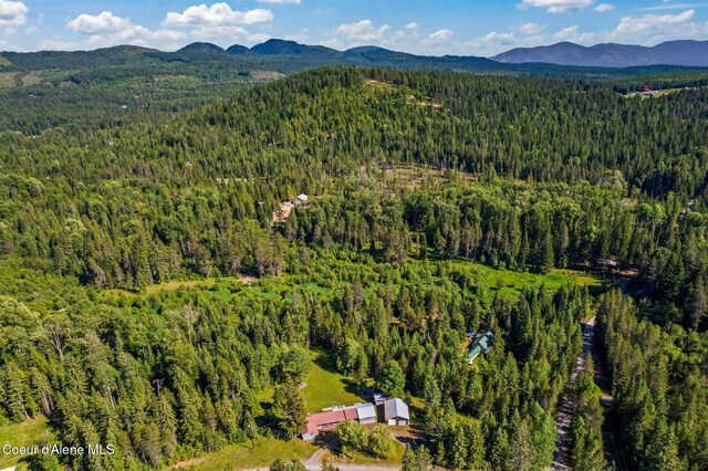 5961 Blacktail Rd, Careywood, ID 83809 - photo 38