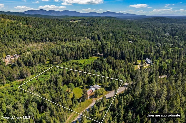 5961 Blacktail Rd, Careywood, ID 83809 - photo 39