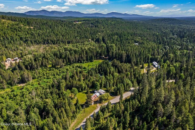 5961 Blacktail Rd, Careywood, ID 83809 - photo 40