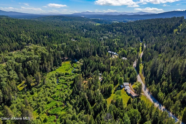 5961 Blacktail Rd, Careywood, ID 83809 - photo 41